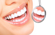 Free dental courses